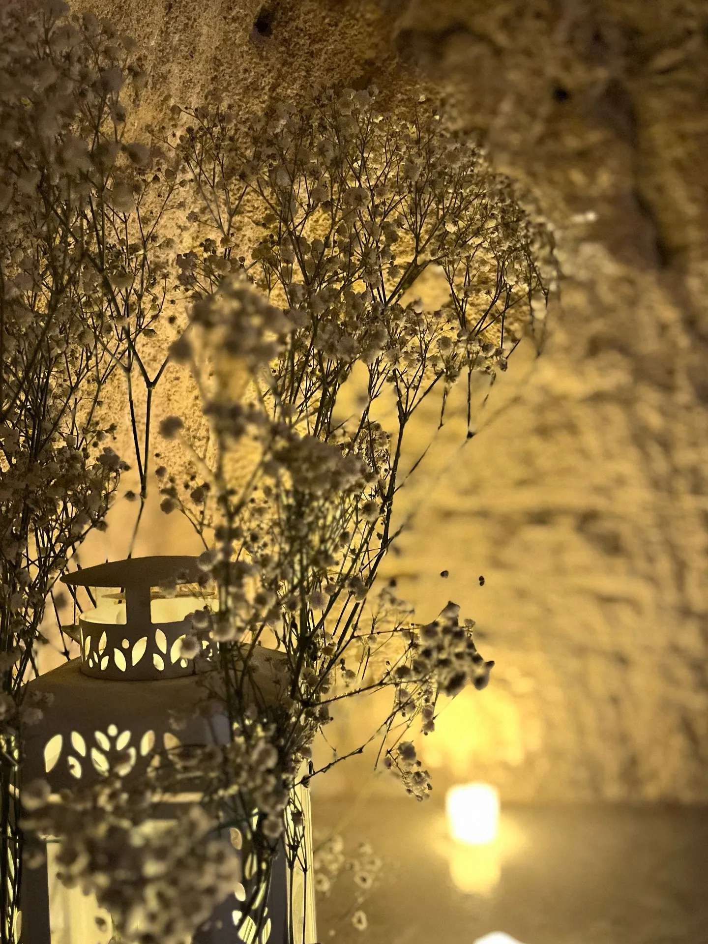 farolillo de velas y flores secas sobre pared de piedra